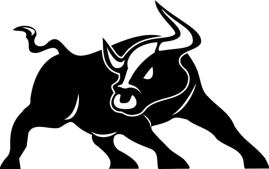 Taurus Funding Bull